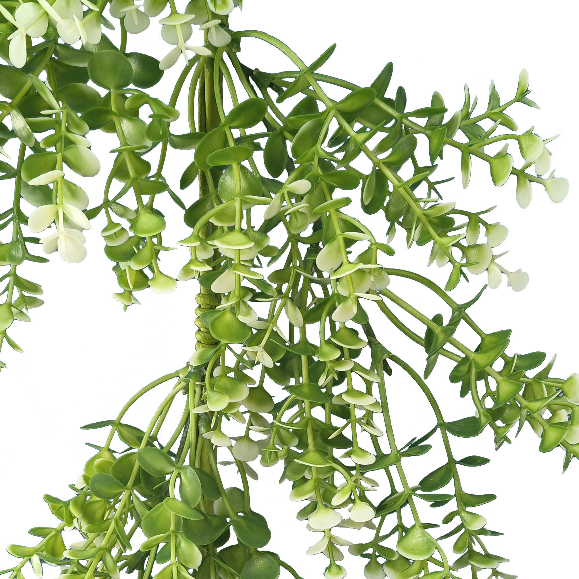 6ft. Green & Cream Eucalyptus Garland by Ashland®